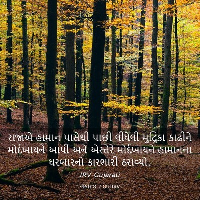 Picture 03 - એસ્તેર 8:2 GUJIRV - રાજાએ હામાન - Bible Verse Picture