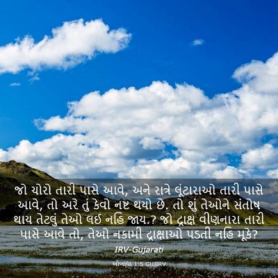 Picture 03 - ઓબાદ્યા 1:5 GUJIRV - જો ચોરો તારી પાસે - Bible Verse Picture