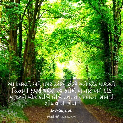 Picture 03 - ક્લોસ્સીઓને 1:28 GUJIRV - આ ખ્રિસ્તને અમે - Bible Verse Picture