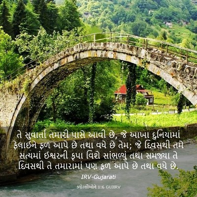 Picture 03 - ક્લોસ્સીઓને 1:6 GUJIRV - તે સુવાર્તા તમારી - Bible Verse Picture