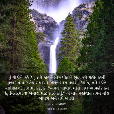 Picture 03 - ગણના 11:18 GUJIRV - તું લોકોને કહે કે,; - Bible Verse Picture