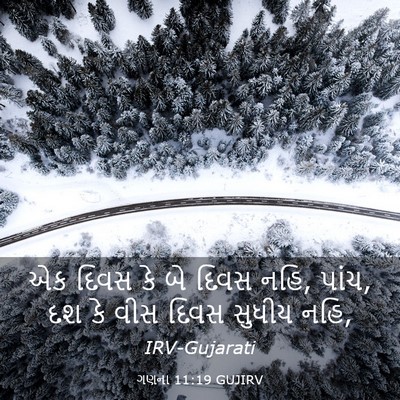 Picture 03 - ગણના 11:19 GUJIRV - એક દિવસ કે બે દિવસ - Bible Verse Picture