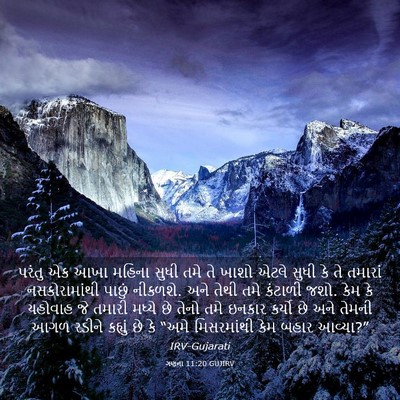 Picture 03 - ગણના 11:20 GUJIRV - પરંતુ એક આખા મહિના - Bible Verse Picture