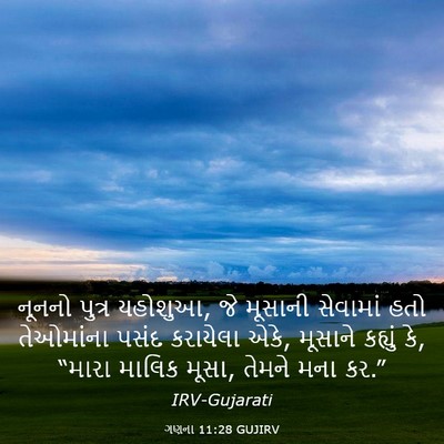 Picture 03 - ગણના 11:28 GUJIRV - નૂનનો પુત્ર - Bible Verse Picture