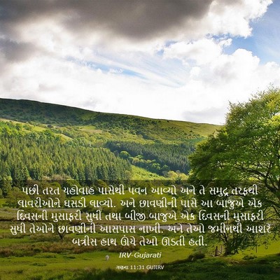 Picture 03 - ગણના 11:31 GUJIRV - પછી તરત યહોવાહ - Bible Verse Picture