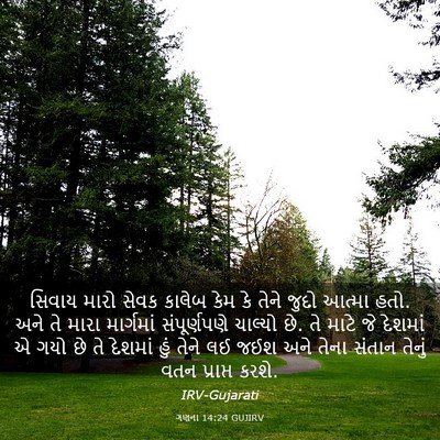 Picture 03 - ગણના 14:24 GUJIRV - સિવાય મારો સેવક - Bible Verse Picture