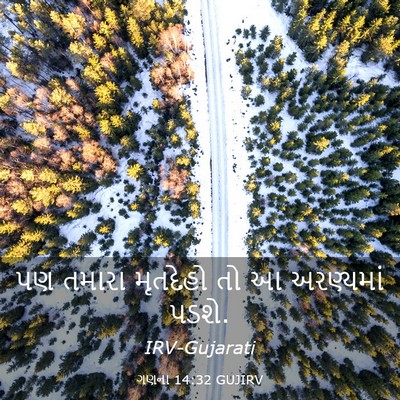 Picture 03 - ગણના 14:32 GUJIRV - પણ તમારા મૃતદેહો - Bible Verse Picture