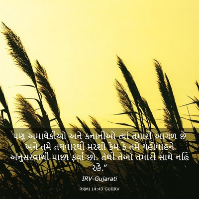 Picture 03 - ગણના 14:43 GUJIRV - પણ અમાલેકીઓ અને - Bible Verse Picture