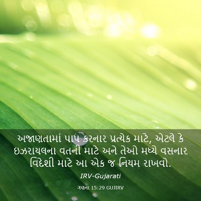 Picture 03 - ગણના 15:29 GUJIRV - અજાણતામાં પાપ - Bible Verse Picture