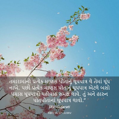 Picture 03 - ગણના 16:17 GUJIRV - તમારામાંનો - Bible Verse Picture