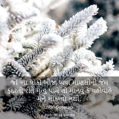 Picture 03 - ગણના 16:29 GUJIRV - જો આ લોકો બીજા બધા - Bible Verse Picture