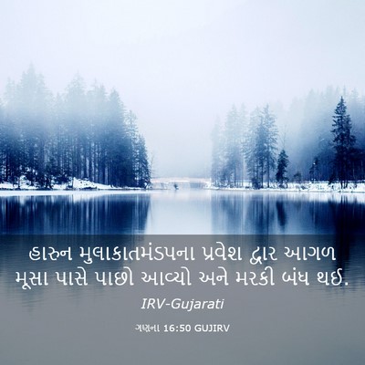 Picture 03 - ગણના 16:50 GUJIRV - હારુન - Bible Verse Picture
