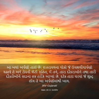 Picture 03 - ગણના 18:11 GUJIRV - આ બધાં અર્પણો - Bible Verse Picture