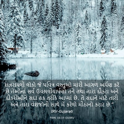 Picture 03 - ગણના 18:19 GUJIRV - ઇઝરાયલી લોકો જે - Bible Verse Picture