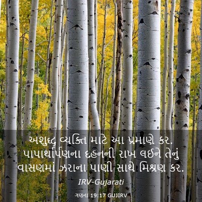 Picture 03 - ગણના 19:17 GUJIRV - અશુદ્ધ વ્યક્તિ - Bible Verse Picture