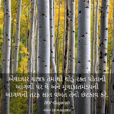 Picture 03 - ગણના 19:4 GUJIRV - એલાઝાર યાજક - Bible Verse Picture