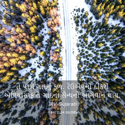 Picture 03 - ગણના 2:14 GUJIRV - તે પછી ગાદનું કુળ. - Bible Verse Picture