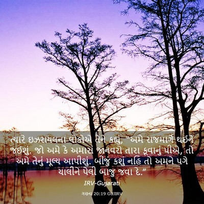 Picture 03 - ગણના 20:19 GUJIRV - ત્યારે ઇઝરાયલના - Bible Verse Picture