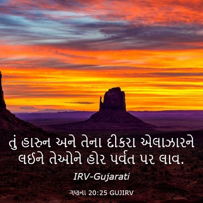 Picture 03 - ગણના 20:25 GUJIRV - તું હારુન અને તેના - Bible Verse Picture
