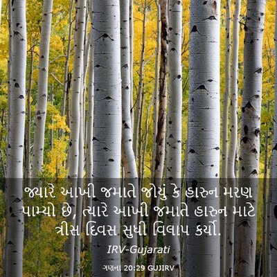 Picture 03 - ગણના 20:29 GUJIRV - જ્યારે આખી જમાતે - Bible Verse Picture
