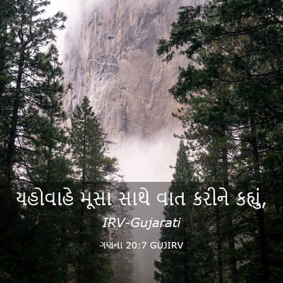 Picture 03 - ગણના 20:7 GUJIRV - યહોવાહે મૂસા સાથે - Bible Verse Picture