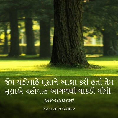Picture 03 - ગણના 20:9 GUJIRV - જેમ યહોવાહે - Bible Verse Picture