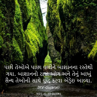 Picture 03 - ગણના 21:33 GUJIRV - પછી તેઓએ પાછા - Bible Verse Picture