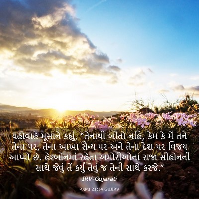 Picture 03 - ગણના 21:34 GUJIRV - યહોવાહે મૂસાને - Bible Verse Picture