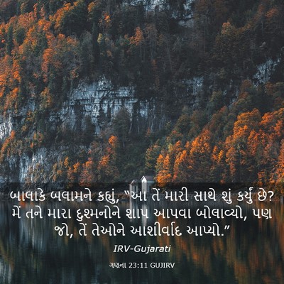 Picture 03 - ગણના 23:11 GUJIRV - બાલાકે બલામને - Bible Verse Picture