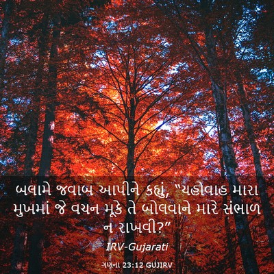 Picture 03 - ગણના 23:12 GUJIRV - બલામે જવાબ આપીને - Bible Verse Picture