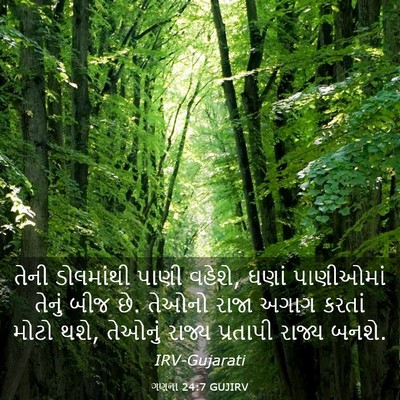 Picture 03 - ગણના 24:7 GUJIRV - તેની ડોલમાંથી - Bible Verse Picture