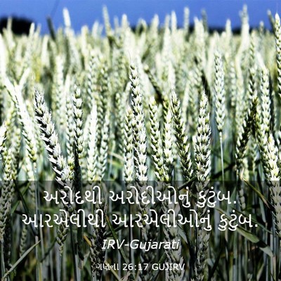 Picture 03 - ગણના 26:17 GUJIRV - અરોદથી અરોદીઓનું - Bible Verse Picture
