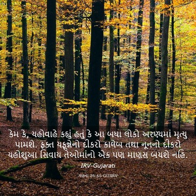 Picture 03 - ગણના 26:65 GUJIRV - કેમ કે, યહોવાહે - Bible Verse Picture