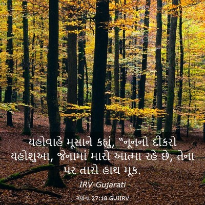 Picture 03 - ગણના 27:18 GUJIRV - યહોવાહે મૂસાને - Bible Verse Picture