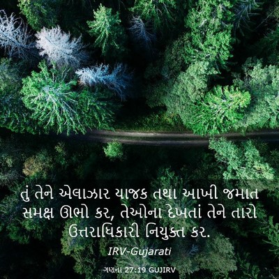 Picture 03 - ગણના 27:19 GUJIRV - તું તેને એલાઝાર - Bible Verse Picture