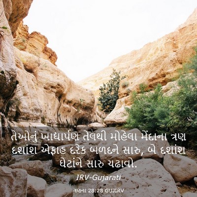 Picture 03 - ગણના 28:28 GUJIRV - તેઓનું ખાદ્યાર્પણ - Bible Verse Picture