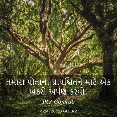 Picture 03 - ગણના 28:30 GUJIRV - તમારા પોતાના - Bible Verse Picture