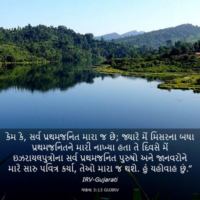 Picture 03 - ગણના 3:13 GUJIRV - કેમ કે, સર્વ - Bible Verse Picture