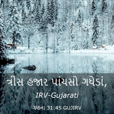 Picture 03 - ગણના 31:45 GUJIRV - ત્રીસ હજાર પાંચસો - Bible Verse Picture