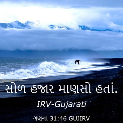 Picture 03 - ગણના 31:46 GUJIRV - સોળ હજાર માણસો - Bible Verse Picture