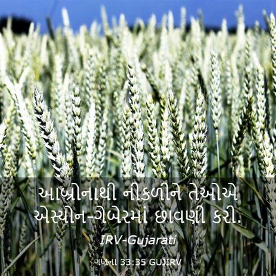 Picture 03 - ગણના 33:35 GUJIRV - આબ્રોનાથી નીકળીને - Bible Verse Picture