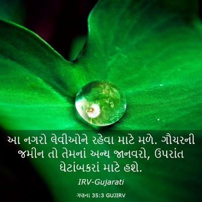 Picture 03 - ગણના 35:3 GUJIRV - આ નગરો લેવીઓને - Bible Verse Picture