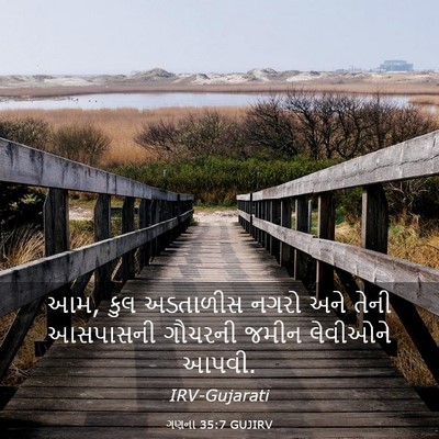 Picture 03 - ગણના 35:7 GUJIRV - આમ, કુલ અડતાળીસ - Bible Verse Picture