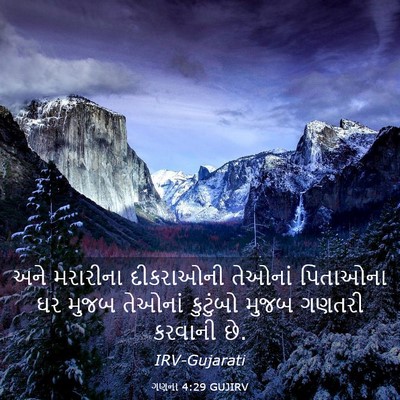 Picture 03 - ગણના 4:29 GUJIRV - અને મરારીના - Bible Verse Picture