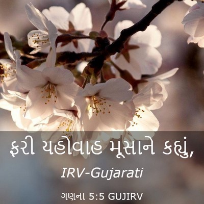 Picture 03 - ગણના 5:5 GUJIRV - ફરી યહોવાહ મૂસાને - Bible Verse Picture