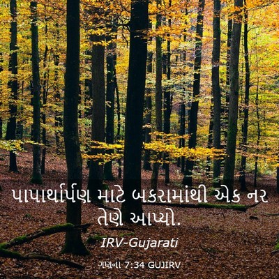 Picture 03 - ગણના 7:34 GUJIRV - પાપાર્થાર્પણ માટે - Bible Verse Picture