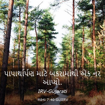 Picture 03 - ગણના 7:40 GUJIRV - પાપાર્થાર્પણ માટે - Bible Verse Picture