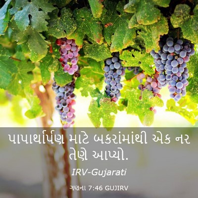 Picture 03 - ગણના 7:46 GUJIRV - પાપાર્થાર્પણ માટે - Bible Verse Picture