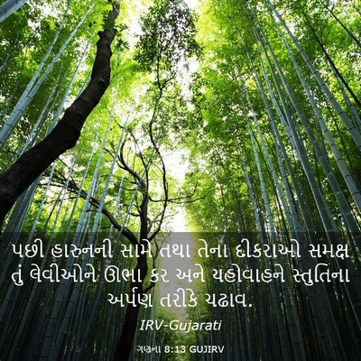 Picture 03 - ગણના 8:13 GUJIRV - પછી હારુનની સામે - Bible Verse Picture
