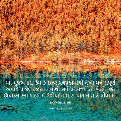 Picture 03 - ગણના 8:16 GUJIRV - આ મુજબ કર, કેમ કે - Bible Verse Picture